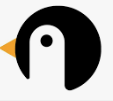 Scratch & Python Coding by Penguin